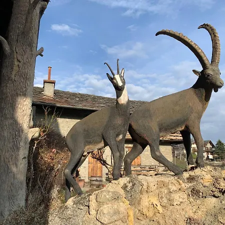 Maison Jenny アパート