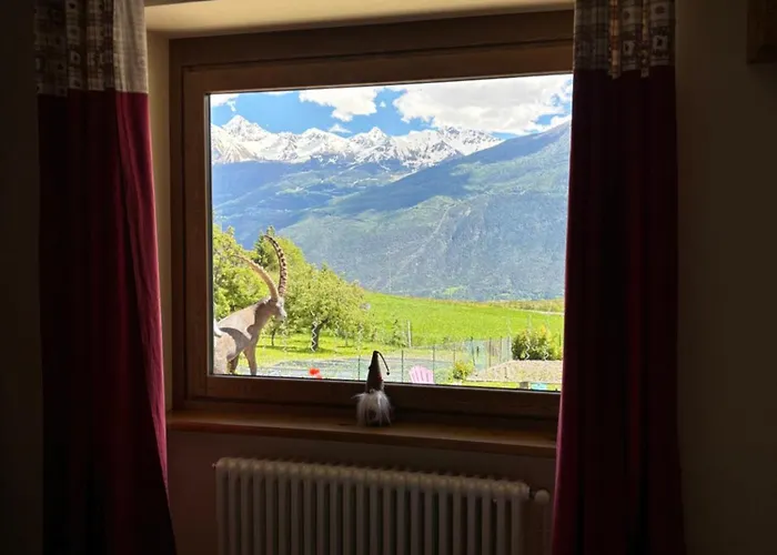 Maison Jenny Apartman *